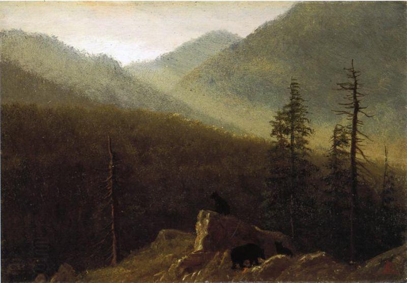 Albert Bierstadt Bears in the Wilderness China oil painting art